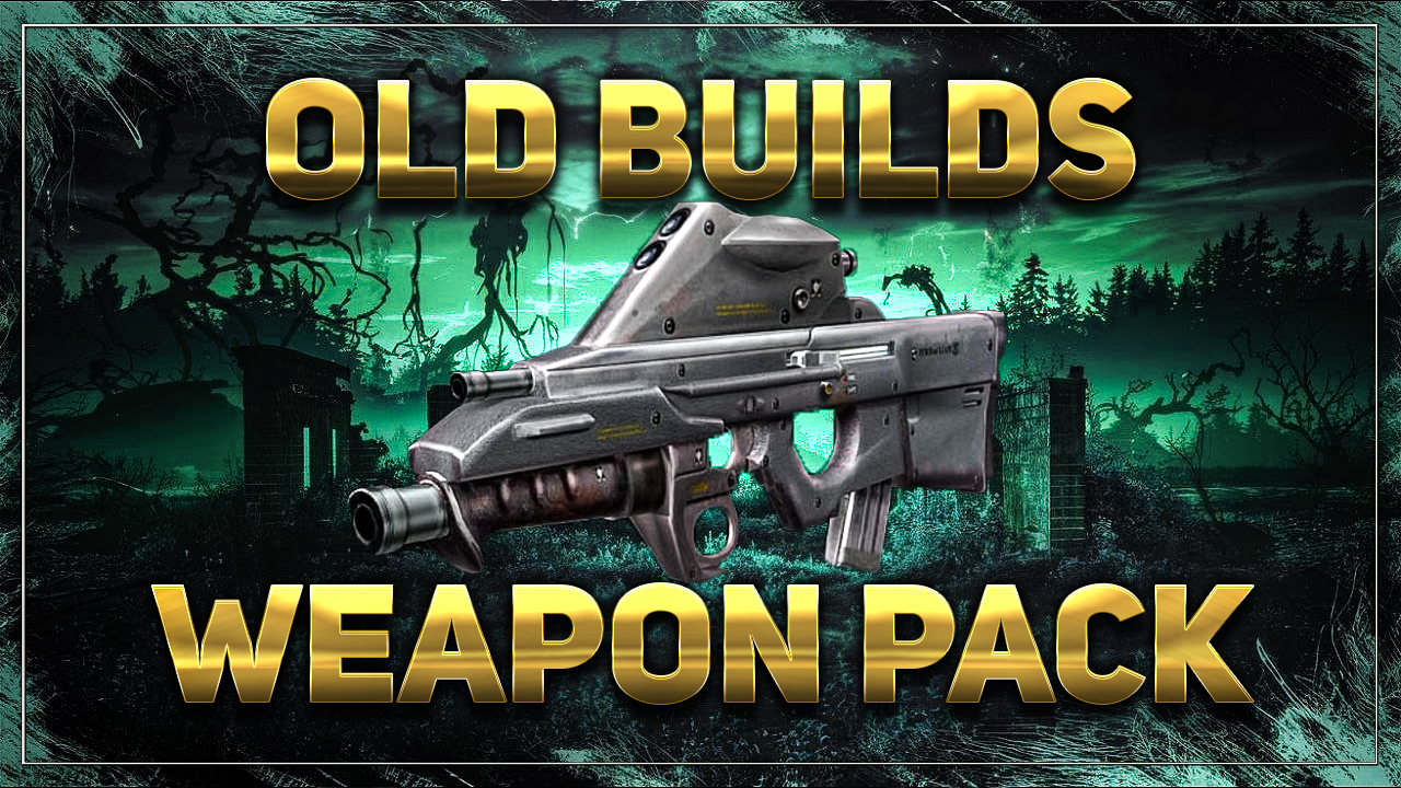 Vadik Stalker Old Builds Weapon Pack